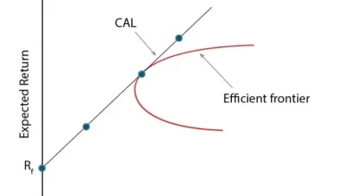 capital-market-line